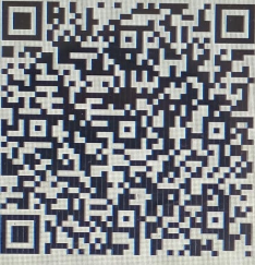 Payment QR Code
